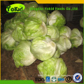 Good Product Green Fresh Brands Lettuce